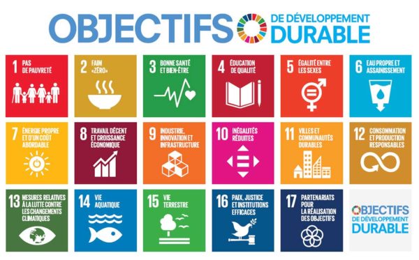 sustainable-development-goals-fr.jpg (52 KB)